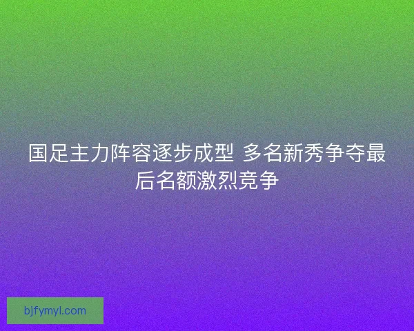 国足主力阵容逐步成型 多名新秀争夺最后名额激烈竞争